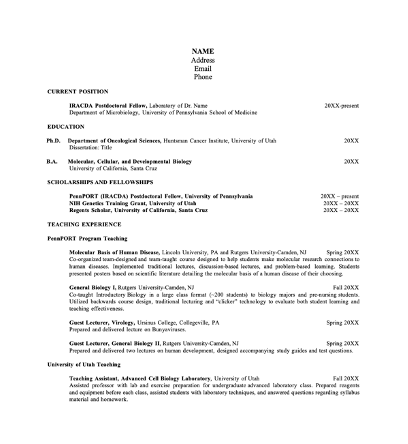 Read more about the article 4 Page Postdoc Editable CV Template