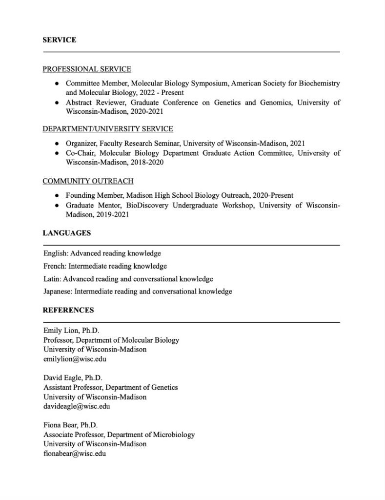 Free PhD CV Template