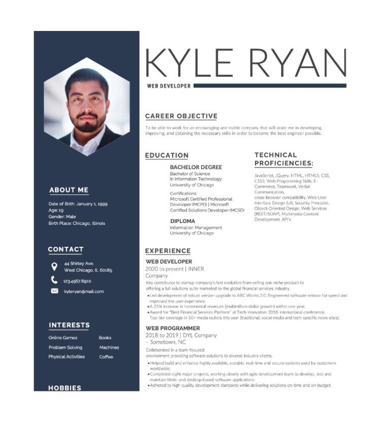 Free Web Developer Resume