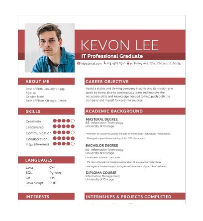 Professional Resume Template for Freshers