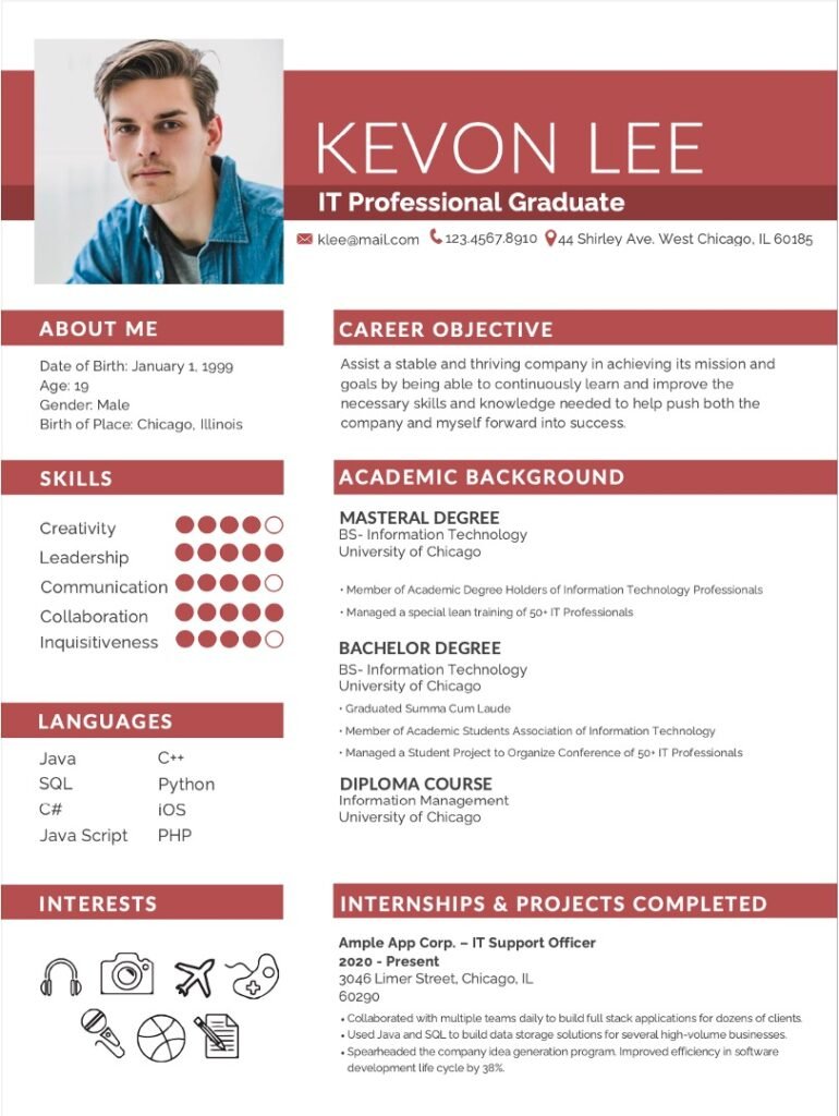 Professional Resume for Freshers