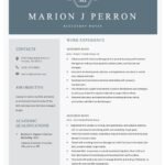 Free Accessory Buyer Resume Template